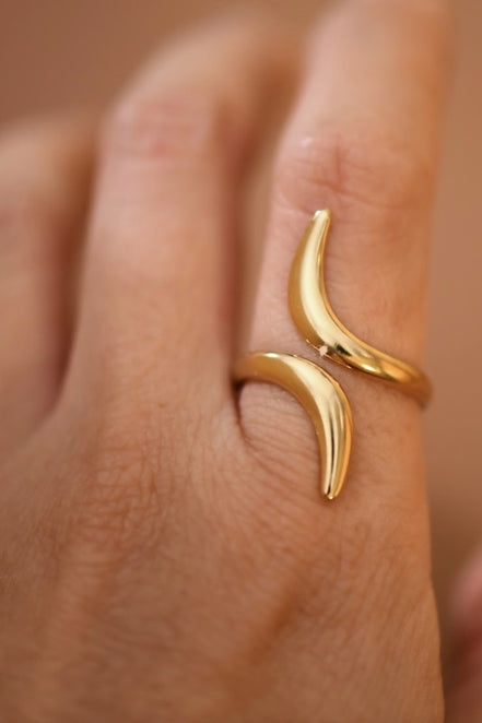 Opposites Attract Abstract Ring